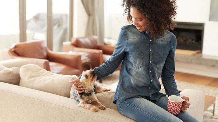 Young adult in her clean well kept apartment holding a mug while petting her dog.